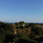 Отель Castiglione 3*